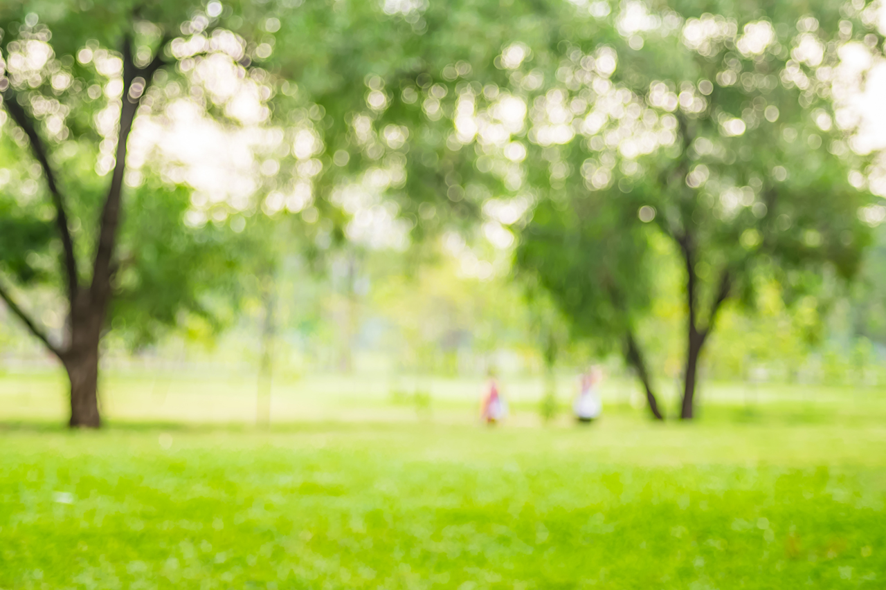 People exercise at green park with bokeh ligh