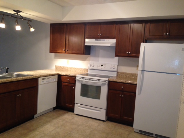 moss gate apartments kitchen
